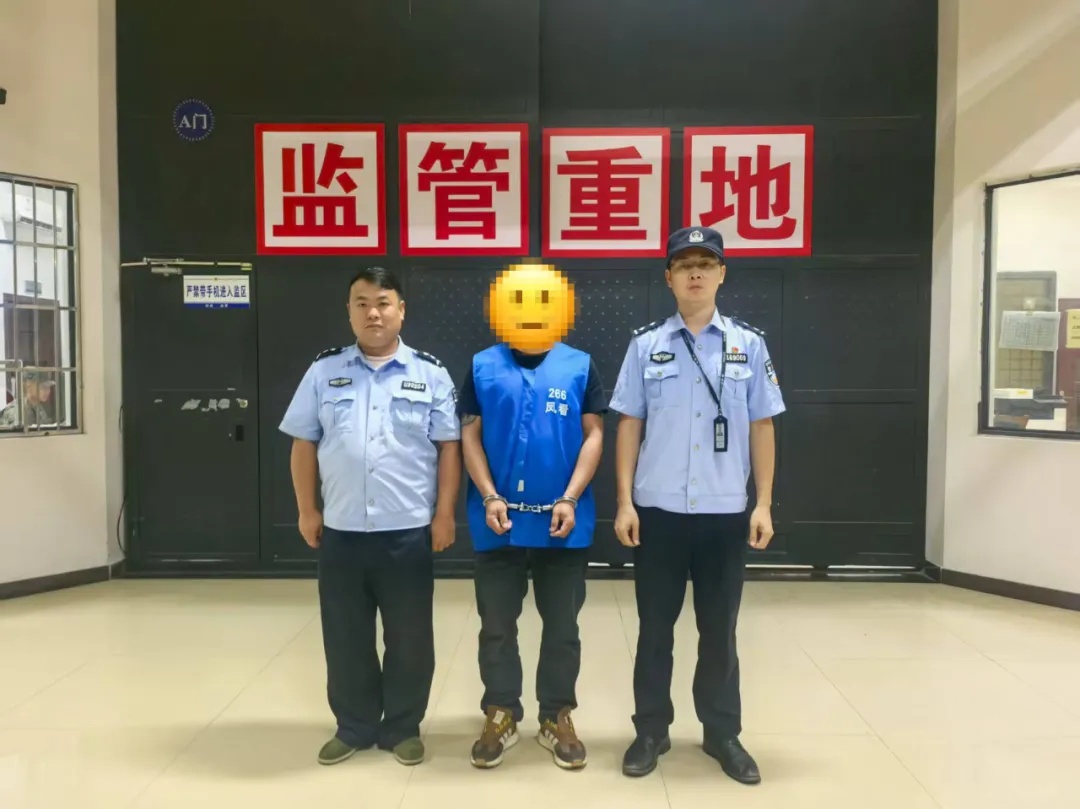 该局制定了, 随后立即上, 而来 该局制定了, 随后立即上, 而来