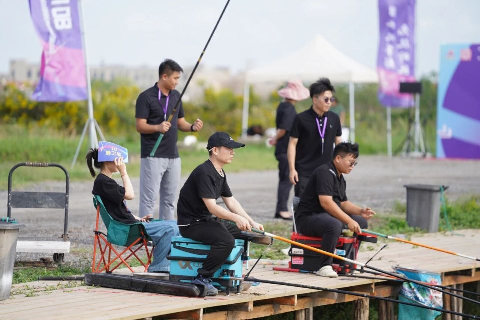 不算专业, buWD 不算专业, buWD